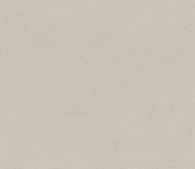 Обои Rasch Crispy Paper 527018
