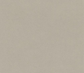 Обои Rasch Crispy Paper 527056